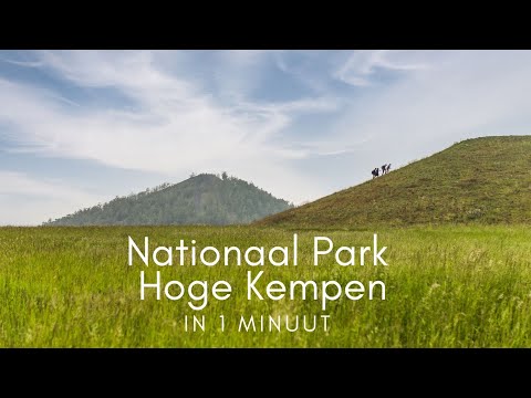 Video: 5 Prachtige hondvriendelijke nationale parken