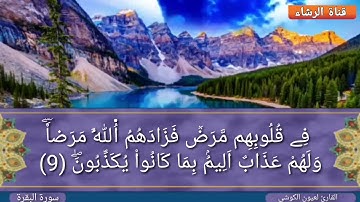سورة البقرة من الاية 8 الى الاية 14 لتسهيل الحفظ مع المقرئ الشيخ لعيون الكوشي برواية ورش عن نافع