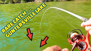 CAST NETTING fishing BAIT to CATCH FISH on the TENNESSEE RIVER !!