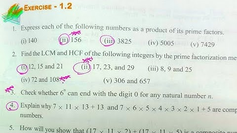Real Numbers | Class 10 Maths chapter 1 | Exercise:1.2 (Full Exercise)Class 10 Maths chapter1 |