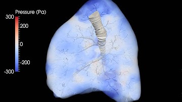 Poroelastic lung - breathing