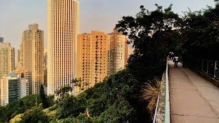Hidden Jungle in Hong Kong Island Bowen Road