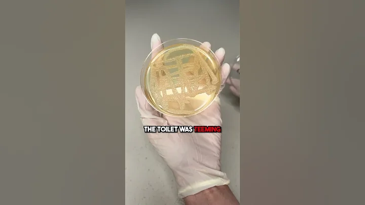 Toilet Germs vs. Body Scrubber #sudscrub #experiment #antimicrobial #bodyscrubber