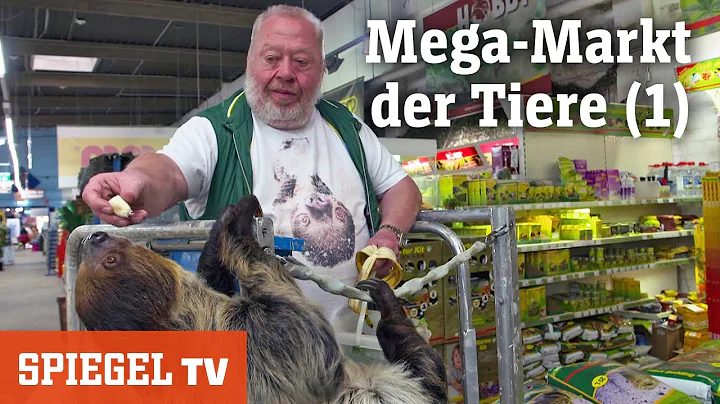 Mega-Markt der Tiere (1): Nachschub fr die Aquaris...