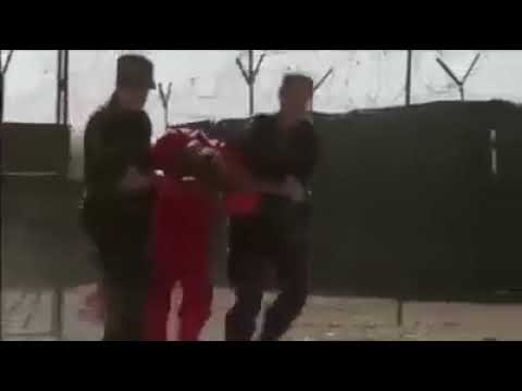 Quba Jail Main Quidiyun Ke Sath Kaise Sulooq Kiya Jata Hai Ye Video Dikhain