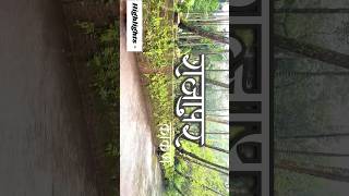 Watch full video of konkan Village Ganeshostav on our channel ✨#rajapur #konkandiaries