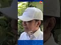 Jokowi Buka Suara soal Rencana Keliling Indonesia, Ada Apa?