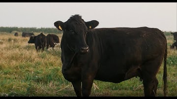 From Farm to Fork with HG Walter