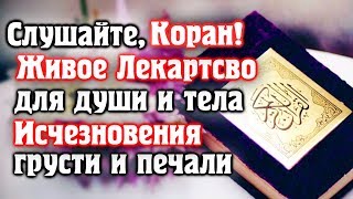 СЛУШАЙТЕ КОРАН, ИСЧЕЗНОВЕНИЯ ГРУСТИ И ПЕЧАЛИ 🎧 ЖИВОЕ ЛЕКАРСТВО ДЛЯ ДУШИ И ТЕЛА