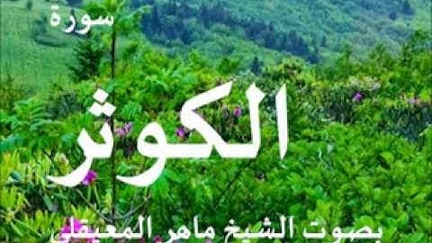 سورة الكوثر بصوت الشيخ / ماهر المعيقلي 108
