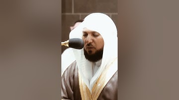 تلاوة مرئية سورة الليل الآيات من ١ إلى ١١ الشيخ ماهر المعيقلي