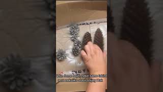 Kako da bojite šišarke. Detaljan video pogledajte na kanalu.