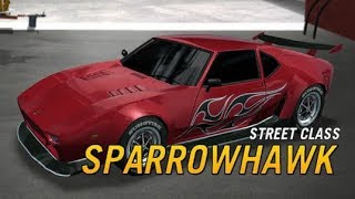 FlatOut 2 - Sparrowhawk