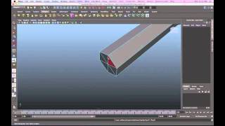 Maya Tutorial