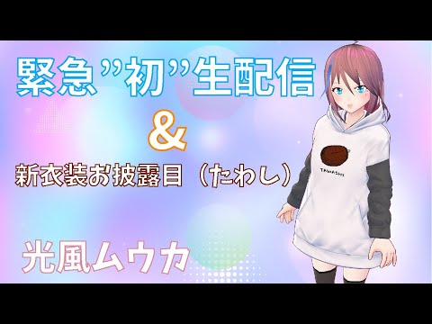 【緊急”初”生配信】光風ムウカ、祝！登録者100人達成！【新人Vtuber】