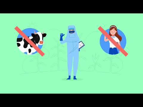 Vídeo: Agri Para Niños: Instrucciones De Uso, Indicaciones, Dosis, Análogos