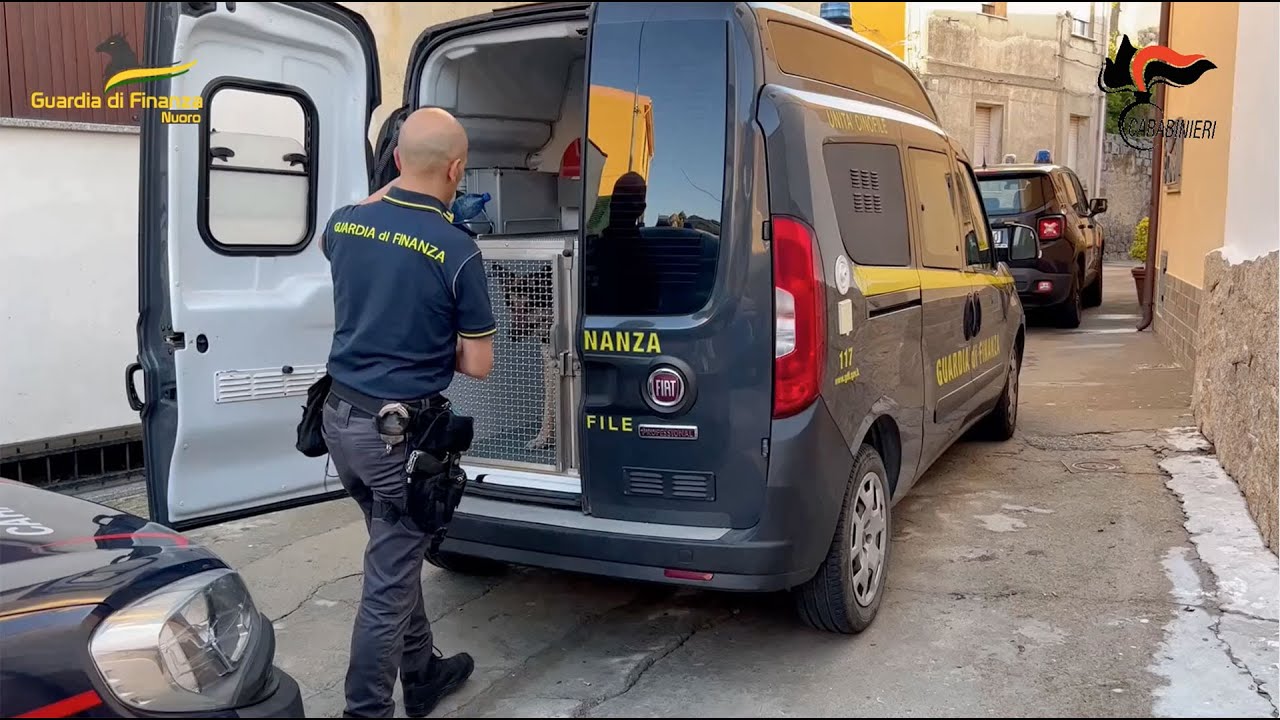 Esportava droga  da Orune alla Penisola tramite corrieri espressi: allevatore nei guai. I dettagli