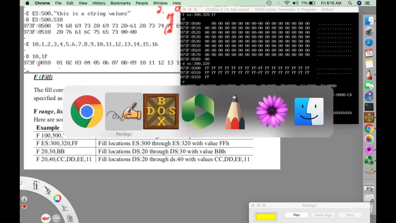 WEEK1: DEBUG Command Fill