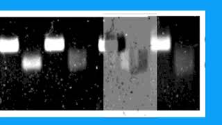 48CD692791DDAC0D8C72522A5055DB#2