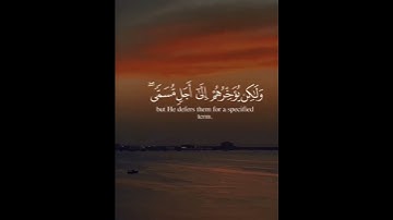 (ولو يؤاخذ الله الناس بظلمهم)#قران_كريم #سورة_النحل #ياسر_الدوسري #راحة_نفسية