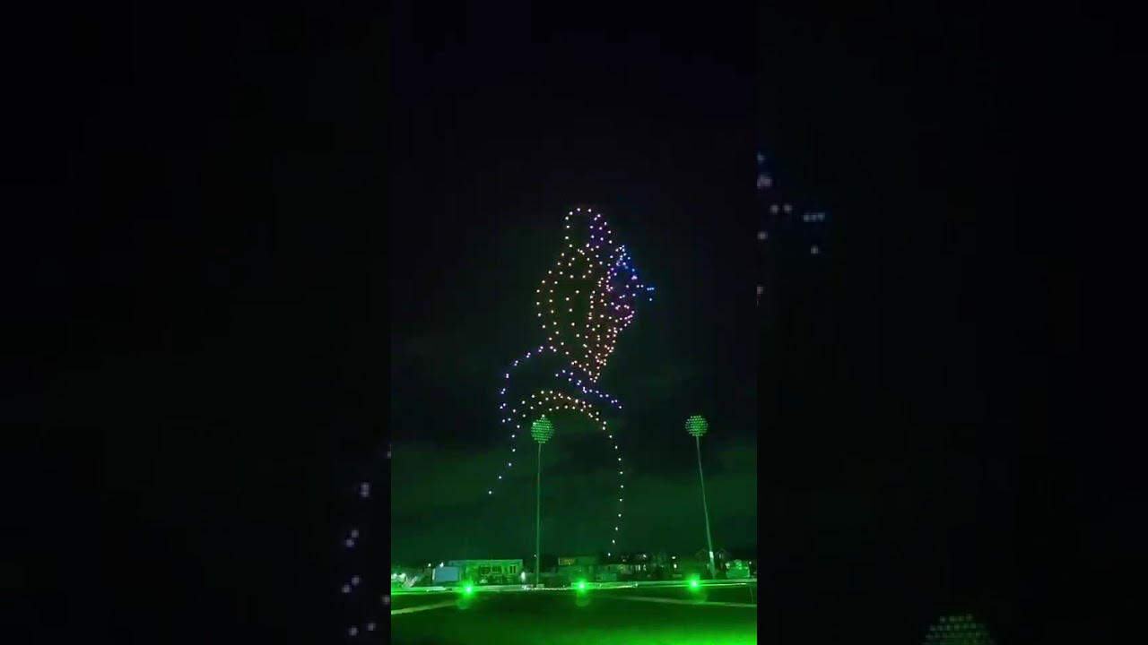 Drone Light Show with the Theme of Wildlife Conservation