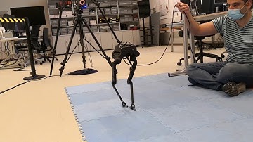 First successful tests on our new biped robot "Bolt"