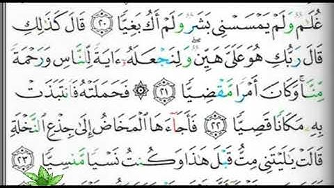 مصحف التجويد الصفحة 306 إبراهيم الأخضر