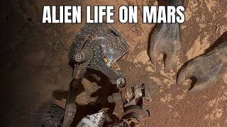 What If We Discovered Alien Life on Mars? | Econ Explorers