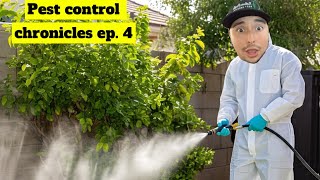Pest Control Chronicles episode 4 “flea infestation leads to over 100 bites”