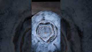 Objectvideos Blueberries And Hot Knife