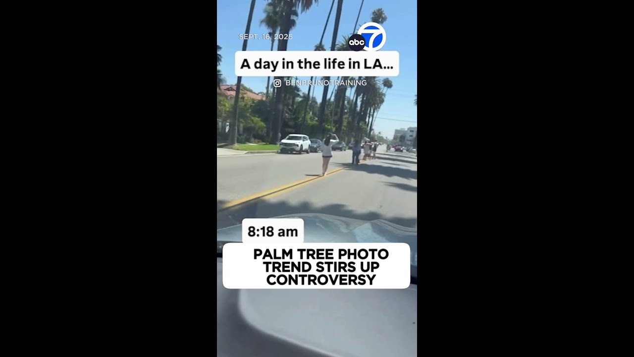 Viral palm tree photo trend stirs up controversy in Beverly Hills