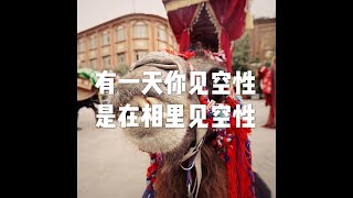 201907 有一天你见空性　是在相里见空性51497