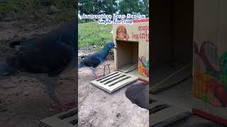 Wild animal trap / real life #bushcraft #birds