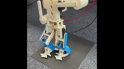 ROCO318: Development video of Humanoid Walking Robot