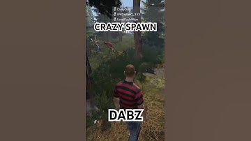 One Crazy Spawn in DayZ