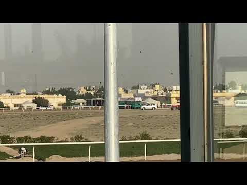 الشوط الثاني كافي اسطبل العويمر ابن الفحل بويتس فويك
