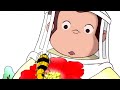 Curious George 🐵 Bee is for Bear 🐵Full Episode🐵 Kids Cartoon 🐵 Kids Movies