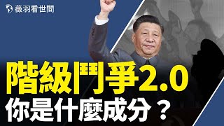 重新划成分了!新時代紅衛兵上陣。容嬤嬤的針為何又准又狠?因為他才是最大威脅。|薇羽看世間 第364期 20210902