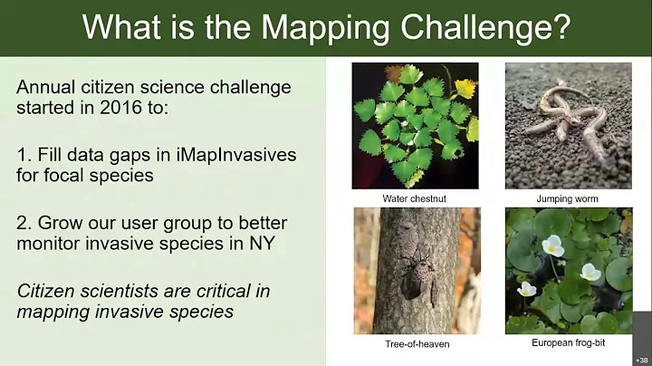 5th Annual Invasive Species Mapping Challenge