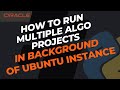 How to Run Multiple Algo Project in Background on Ubuntu Instance | Oracle Cloud Infra