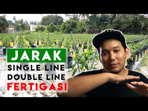 Video: Kaki kasau: penerangan, ciri pengiraan, dimensi