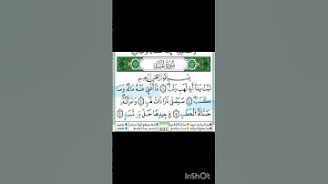 سوره المسد بروايه ورش عن نافع بصوت القارئ محمود الحصيري