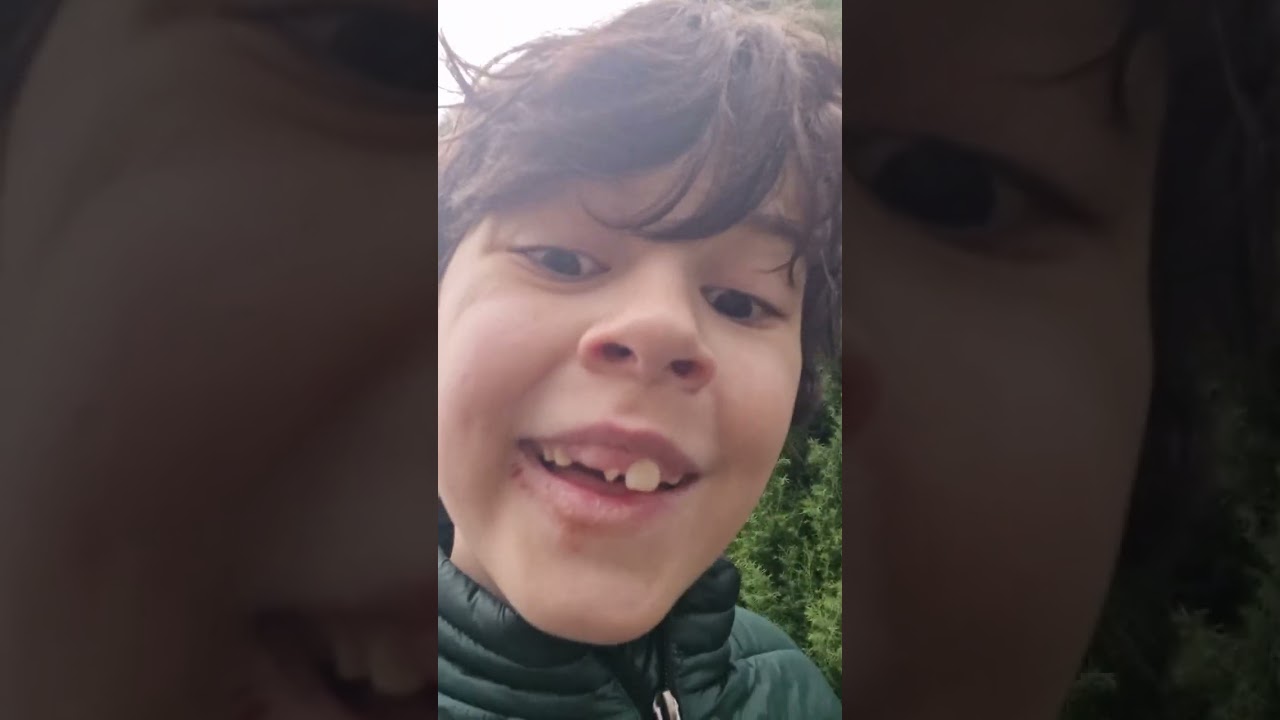 Epic Cat Battles Season One Episode Four I Simba's Crazy Last Minute Attacks! I