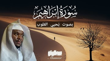 "ولا تحسبن الله غافلًا عما يعمل الظالمون | أقوى تلاوة مبكية تهز القلب من سورة إبراهيم