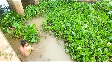 Help Me!!! Massive Clogged!!!Remove Floating Plant Clogged Huge Water Gate Drain Water #unclogging