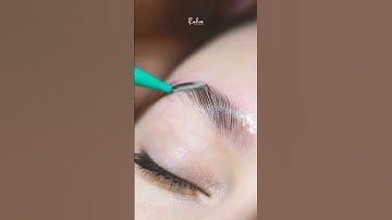 LEARN THE ART OF BROW BOMBER 😍💕  || My Absolute Beauty