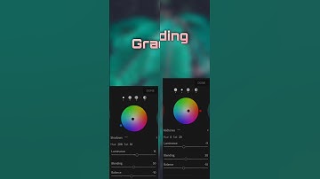 Easy moody tone in Lightroom | moody tone tutorial | editing moody leaf