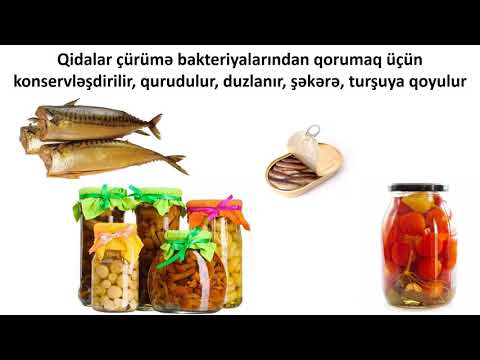 Video: Bitkilərin köklərində hansı növ bakteriyalar yaşayır?