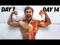 I prepared for a bodybuilding show in only 14 days