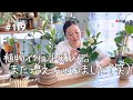 【植物イベント購入品】お迎えした可愛い子たち紹介（Vlog/119）